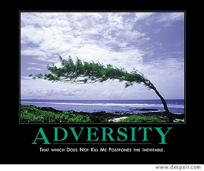 adversity.jpg - 132,1 KB